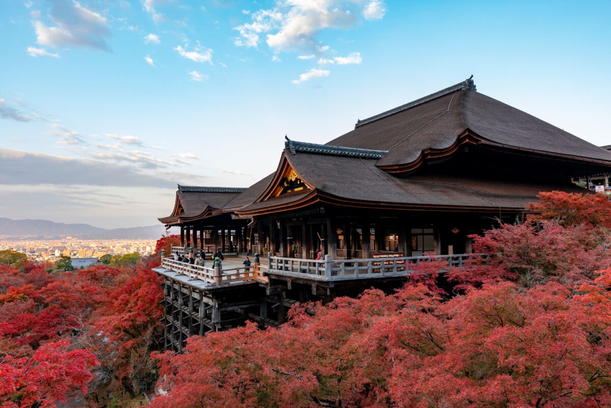 京都の紅葉はもう始まってる？受験シーズン前に訪れたい紅葉スポットと学生会館ドーミーという選択
